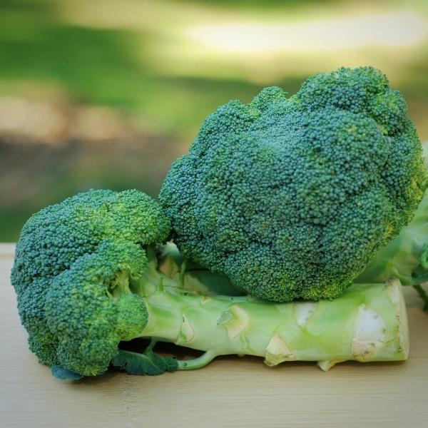 broccoli stems, as healthy as florets?