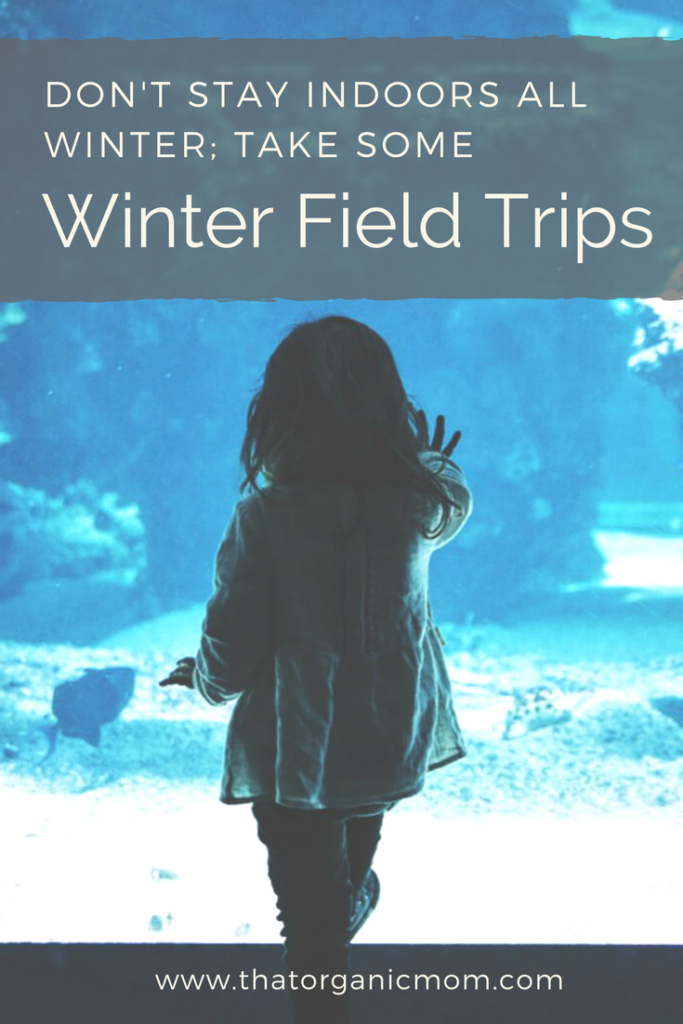 Winter Field Trips For Homeschoolers (and Everyone Else!)